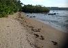 Beachfront Lot for Sale in Puerto Princesa, Palawan